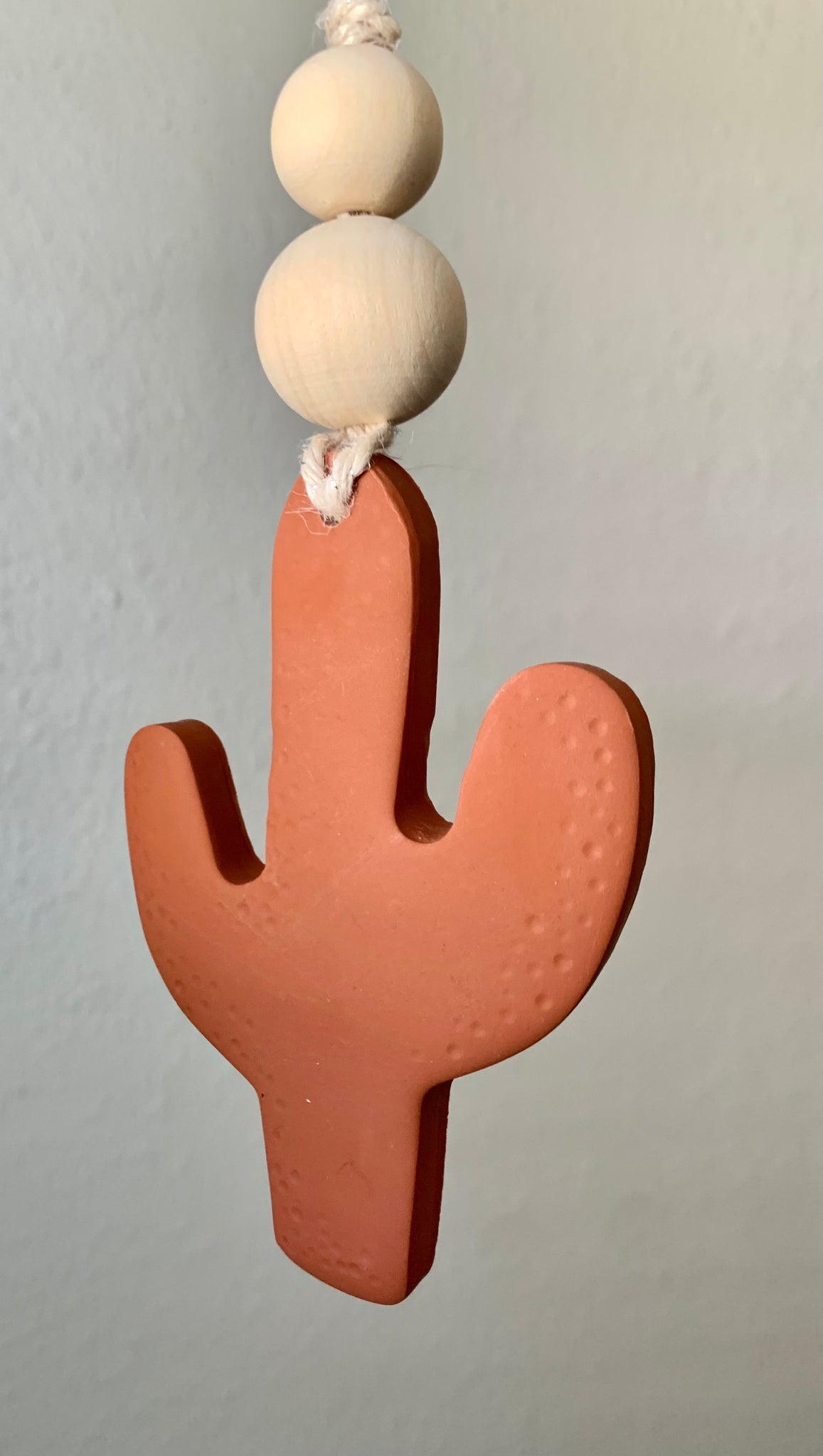 Terracotta Clay Cactus Ornament